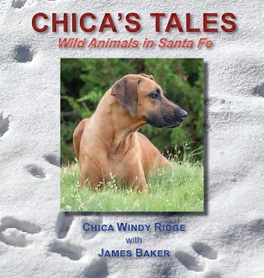 Chica's Tales: Wild Animals in Santa Fe - James Baker - cover