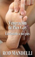 Veneración de Pies Gay #1: Llevándolo a sus pies