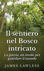 Il sentiero nel bosco intricato