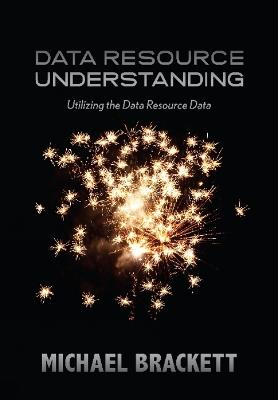 Data Resource Understanding: Utilizing the Data Resource Data - Michael Brackett - cover