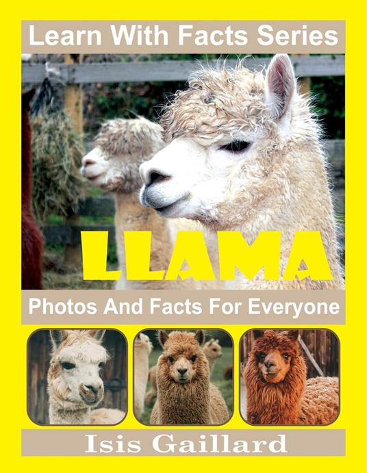 Llama Photos and Facts for Everyone - Gaillard, Isis - Ebook in inglese -  EPUB3 con DRMFREE | IBS