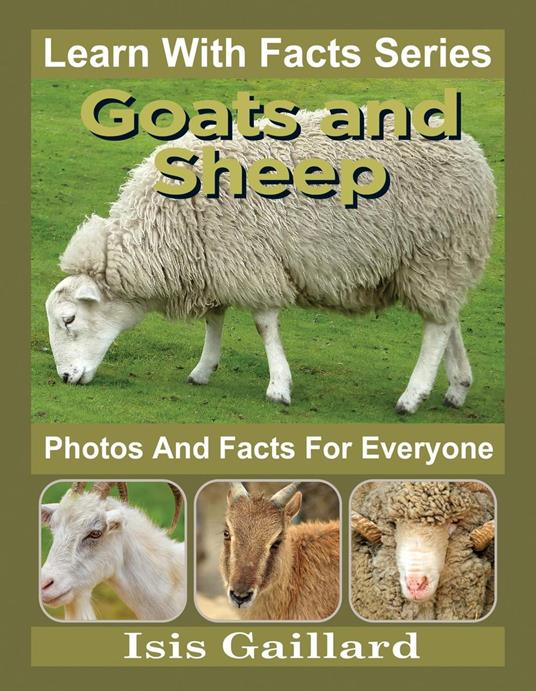 Goats and Sheep Photos and Facts for Everyone