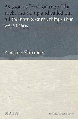 The Names Of The Things That Were There: Stories - Antonio Skarmeta,Curtis Bauer - cover