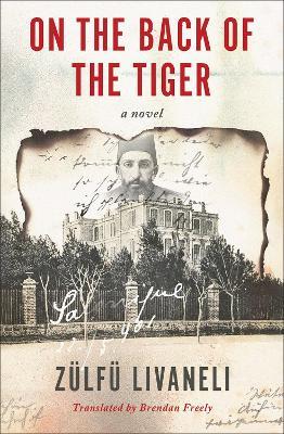 On the Back of the Tiger: A Novel - Zulfu Livaneli,Brendan Freely - cover
