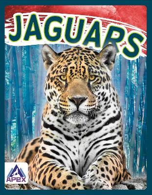 Wild Cats: Jaguars - Sophie Geister-Jones - cover