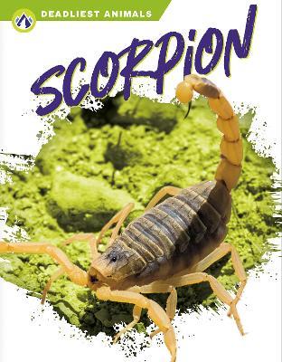 Deadliest Animals: Scorpion - Rachel Hamby - cover