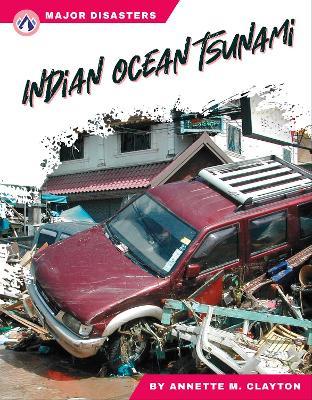 Major Disasters: Indian Ocean Tsunami - Annette M. Clayton - cover