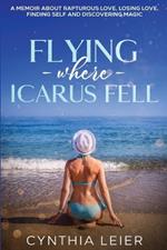 Flying Where Icarus Fell