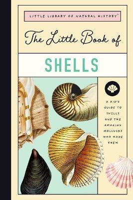 Little Book of Shells: A Kid's Guide to Shells and the Amazing Mollusks Who Make Them - Forrest Everett - cover