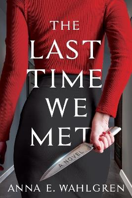 The Last Time We Met: A Novel - Anna E. Wahlgren - cover