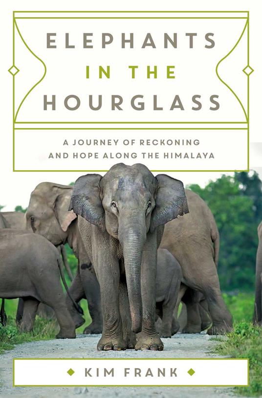 Elephants in the Hourglass