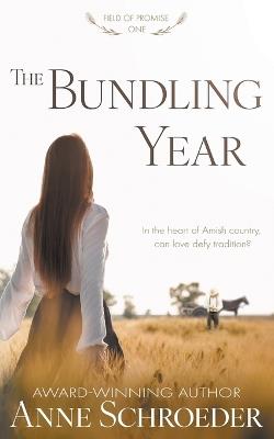 The Bundling Year: A Non-Traditional Contemporary Amish Romance - Anne Schroeder - cover