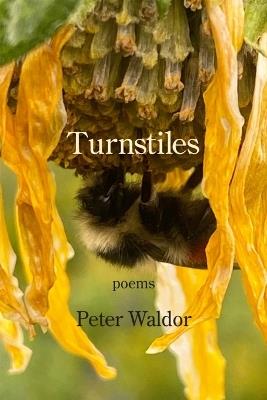 Turnstiles - Peter Waldor - cover