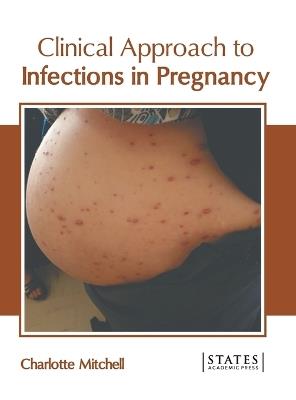 Clinical Approach to Infections in Pregnancy - cover