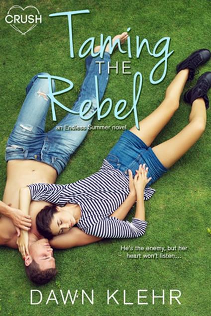 Taming the Rebel - Dawn Klehr - ebook