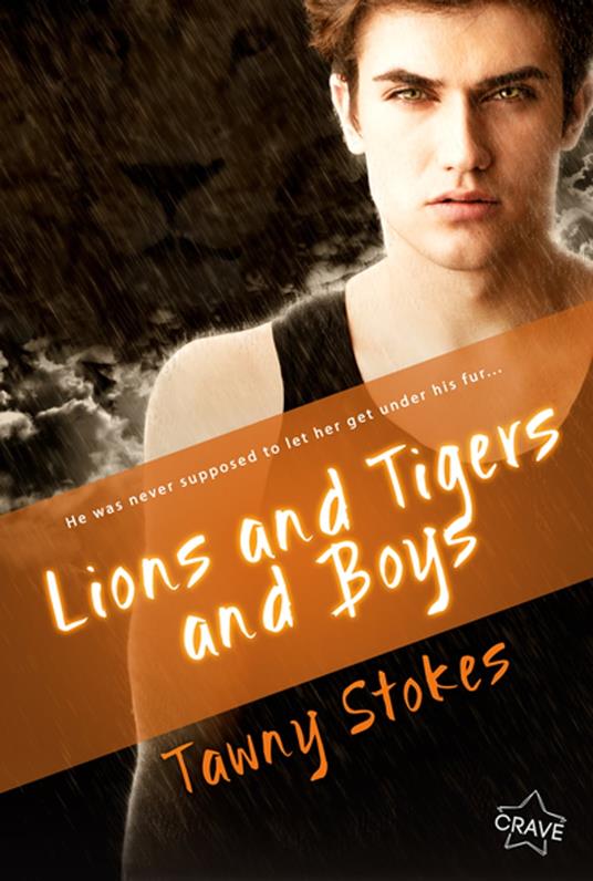 Lions and Tigers and Boys - Tawny Stokes - ebook
