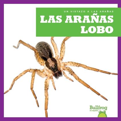 Las arañas lobo