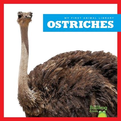 Ostriches