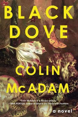 Black Dove - Colin McAdam - cover