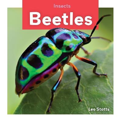 Insects: Beetles - Leo Statts - cover