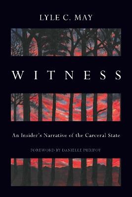 Witness: An Insider's Narrative of the Carceral State - Lyle C. May - cover