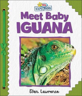 Active Minds Explorers: Meet Baby Iguana - Ellen Lawrence - cover