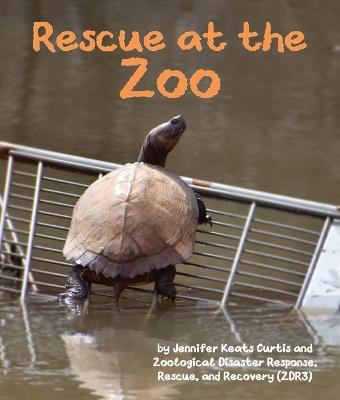 Rescue at the Zoo - Jennifer Keats Curtis - cover