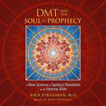 DMT and the Soul of Prophecy