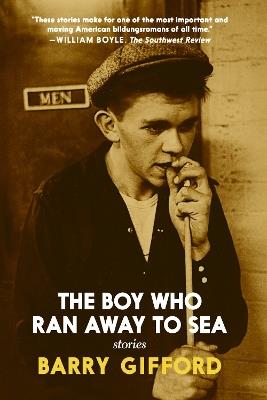 The Boy Who Ran Away To Sea - Barry Gifford - cover