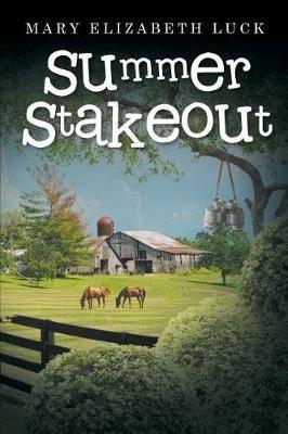 Summer Stakeout - Mary Elizabeth Luck - cover