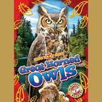 Great Horned Owls