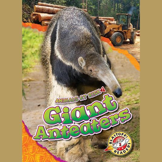 Giant Anteaters