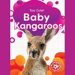 Baby Kangaroos