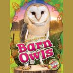 Barn Owls