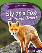 Animal Idioms: Sly as a Fox: Are Foxes Clever?