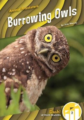 Animal Pranksters: Burrowing Owls - Julie Murray - cover