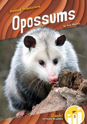 Animal Pranksters: Oppossums - Julie Murray - cover