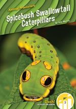 Animal Pranksters: Spicebush Swallowtail Caterpillars