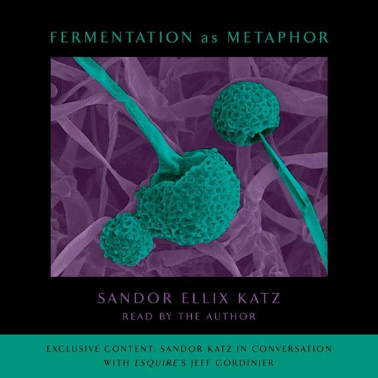 Fermentation as Metaphor