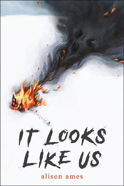 It Looks Like Us - Alison Ames - ebook