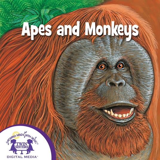 Apes And Monkeys