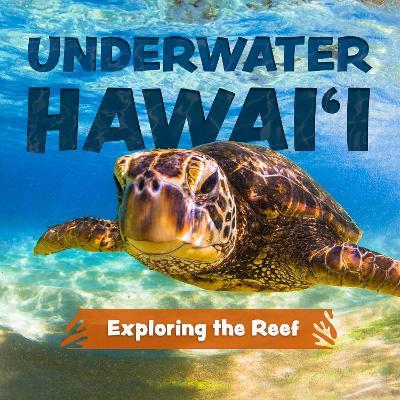 Underwater Hawai'i: Exploring the Reef: A Children's Picture Book about Hawai'i - Keith Riegert - cover