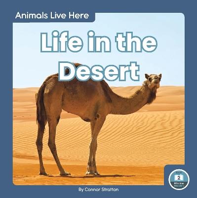 Animals Live Here: Life in the Desert - Connor Stratton - cover