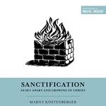 Sanctification as Set Apart and Growing in Christ