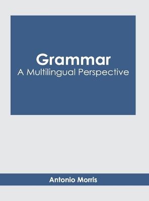 Grammar: A Multilingual Perspective - cover