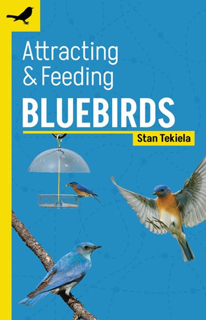 Attracting & Feeding Bluebirds