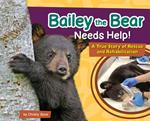 Bailey the Bear Needs Help!