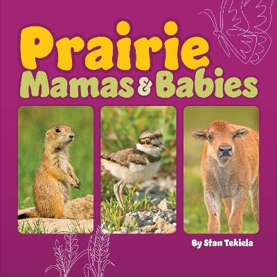 Prairie Mamas and Babies - Stan Tekiela - cover