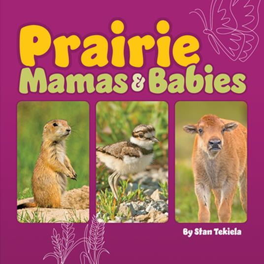 Prairie Mamas & Babies - Stan Tekiela - ebook