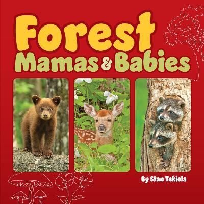 Forest Mamas and Babies - Stan Tekiela - cover